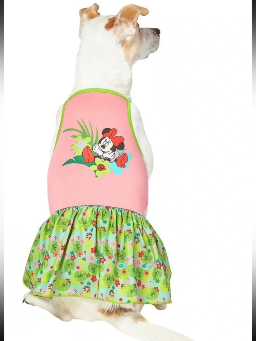 Disney minnie mouse
